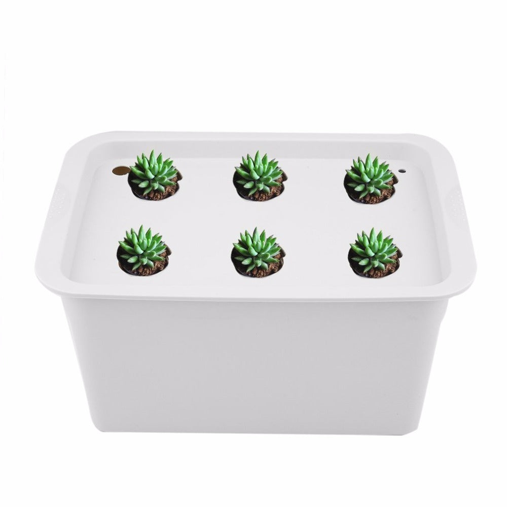 Soilless cultivation Kit